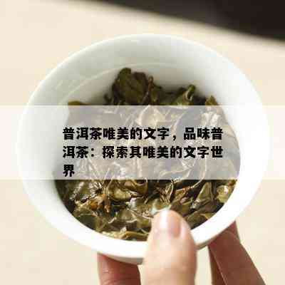 普洱茶唯美的文字，品味普洱茶：探索其唯美的文字世界