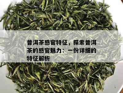 普洱茶感官特征，探索普洱茶的感官魅力：一份详细的特征解析