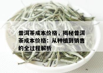 普洱茶成本价格，揭秘普洱茶成本价格：从种植到销售的全过程解析