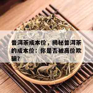 普洱茶成本价，揭秘普洱茶的成本价：你是否被高价欺骗？