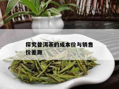 探究普洱茶的成本价与销售价差距