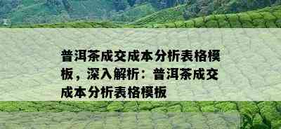 普洱茶成交成本分析表格模板，深入解析：普洱茶成交成本分析表格模板