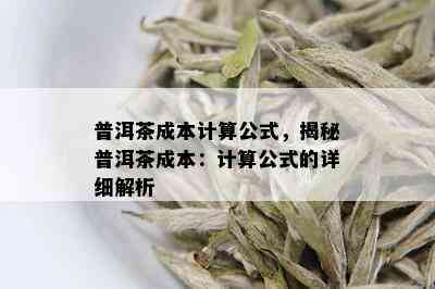 普洱茶成本计算公式，揭秘普洱茶成本：计算公式的详细解析