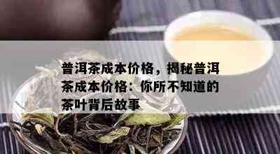 普洱茶成本价格，揭秘普洱茶成本价格：你所不知道的茶叶背后故事