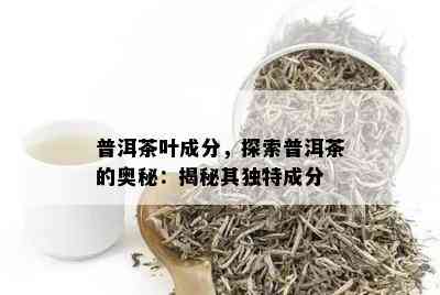 普洱茶叶成分，探索普洱茶的奥秘：揭秘其独特成分