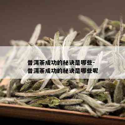 普洱茶成功的秘诀是哪些-普洱茶成功的秘诀是哪些呢