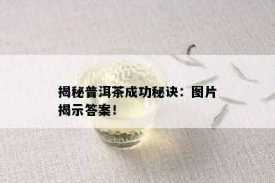 揭秘普洱茶成功秘诀：图片揭示答案！