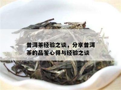 普洱茶经验之谈，分享普洱茶的品鉴心得与经验之谈