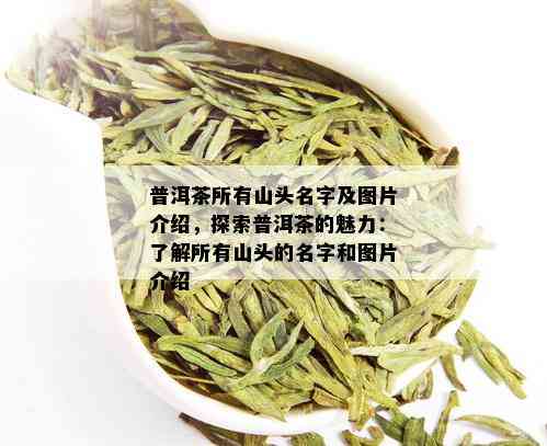 普洱茶所有山头名字及图片介绍，探索普洱茶的魅力：了解所有山头的名字和图片介绍