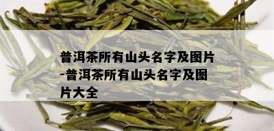 普洱茶所有山头名字及图片-普洱茶所有山头名字及图片大全