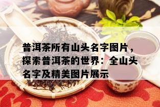 普洱茶所有山头名字图片，探索普洱茶的世界：全山头名字及精美图片展示