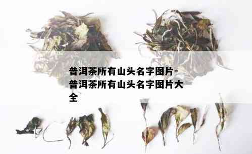 普洱茶所有山头名字图片-普洱茶所有山头名字图片大全