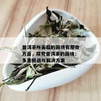 普洱茶所面临的困境有那些方面，探究普洱茶的困境：多重挑战与解决方案