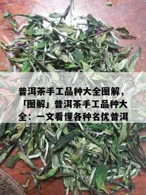 普洱茶手工品种大全图解，「图解」普洱茶手工品种大全：一文看懂各种名优普洱