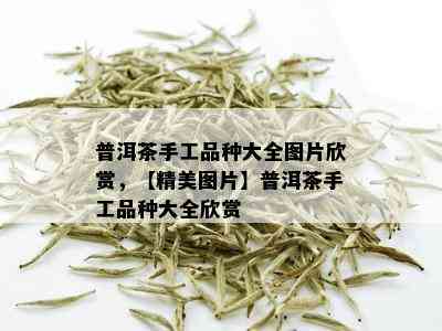 普洱茶手工品种大全图片欣赏，【精美图片】普洱茶手工品种大全欣赏