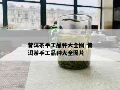 普洱茶手工品种大全图-普洱茶手工品种大全图片