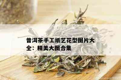 普洱茶手工纸艺花型图片大全：精美大图合集