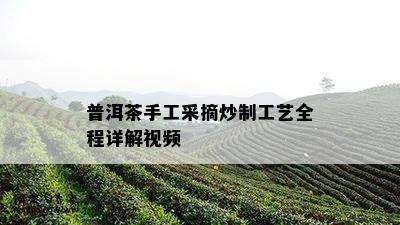 普洱茶手工采摘炒制工艺全程详解视频