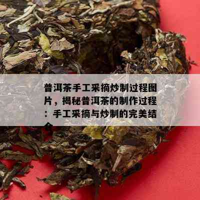 普洱茶手工采摘炒制过程图片，揭秘普洱茶的制作过程：手工采摘与炒制的完美结合