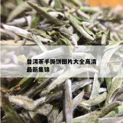 普洱茶手撕饼图片大全高清最新集锦