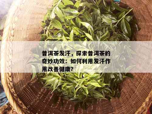 普洱茶发汗，探索普洱茶的奇妙功效：如何利用发汗作用改善健康？