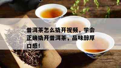 普洱茶怎么撬开视频，学会正确撬开普洱茶，品味醇厚口感！