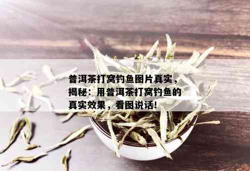 普洱茶打窝钓鱼图片真实，揭秘：用普洱茶打窝钓鱼的真实效果，看图说话！