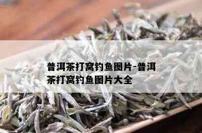 普洱茶打窝钓鱼图片-普洱茶打窝钓鱼图片大全