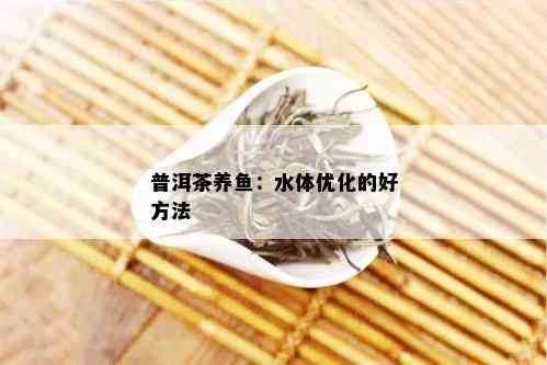 普洱茶养鱼：水体优化的好方法