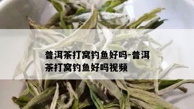 普洱茶打窝钓鱼好吗-普洱茶打窝钓鱼好吗视频