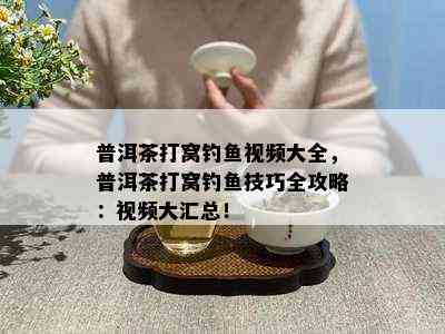 普洱茶打窝钓鱼视频大全，普洱茶打窝钓鱼技巧全攻略：视频大汇总！