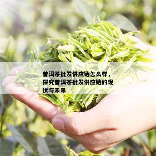 普洱茶批发供应链怎么样，探究普洱茶批发供应链的现状与未来