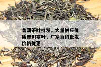 普洱茶叶批发，大量供应优质普洱茶叶，厂家直销批发价格优惠！