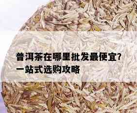 普洱茶在哪里批发更便宜？一站式选购攻略