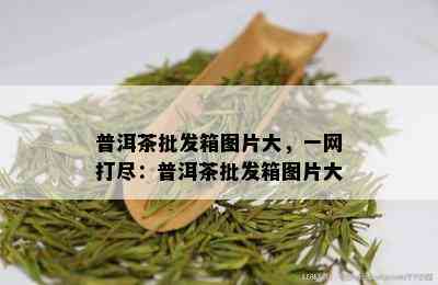 普洱茶批发箱图片大，一网打尽：普洱茶批发箱图片大