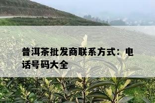 普洱茶批发商联系方式：电话号码大全