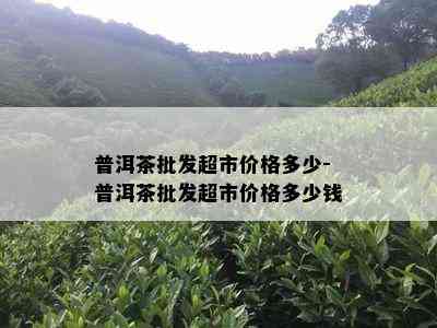 普洱茶批发超市价格多少-普洱茶批发超市价格多少钱