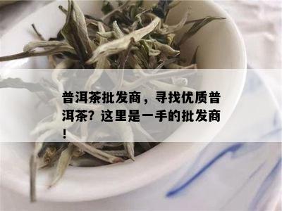 普洱茶批发商，寻找优质普洱茶？这里是一手的批发商！