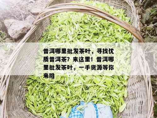 普洱哪里批发茶叶，寻找优质普洱茶？来这里！普洱哪里批发茶叶，一手货源等你来挑