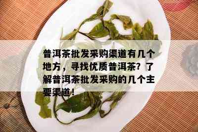 普洱茶批发采购渠道有几个地方，寻找优质普洱茶？了解普洱茶批发采购的几个主要渠道！