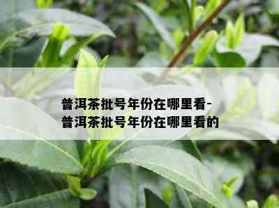 普洱茶批号年份在哪里看-普洱茶批号年份在哪里看的