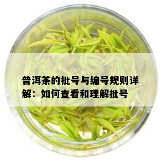 普洱茶的批号与编号规则详解：如何查看和理解批号