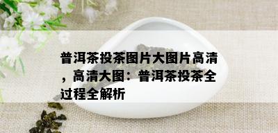 普洱茶投茶图片大图片高清，高清大图：普洱茶投茶全过程全解析