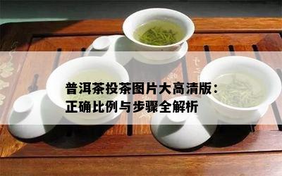 普洱茶投茶图片大高清版：正确比例与步骤全解析