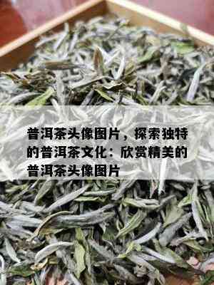 普洱茶头像图片，探索独特的普洱茶文化：欣赏精美的普洱茶头像图片