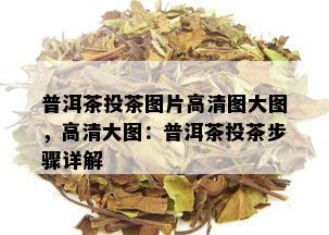 普洱茶投茶图片高清图大图，高清大图：普洱茶投茶步骤详解