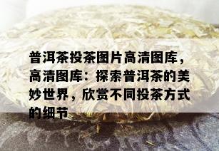 普洱茶投茶图片高清图库，高清图库：探索普洱茶的美妙世界，欣赏不同投茶方式的细节