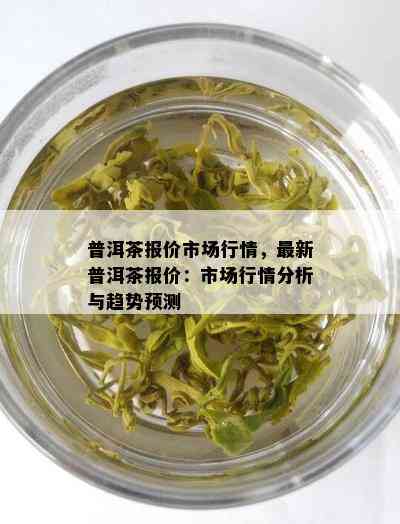 普洱茶报价市场行情，最新普洱茶报价：市场行情分析与趋势预测