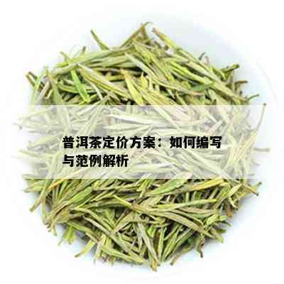 普洱茶定价方案：如何编写与范例解析