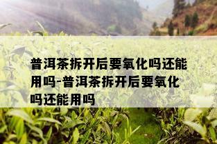 普洱茶拆开后要氧化吗还能用吗-普洱茶拆开后要氧化吗还能用吗